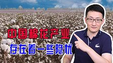 中国棉花产量居世界第二，却不能满足国内需要，只能靠大量进口