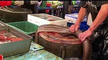 香港海鲜大排档，2米长大鱼形似蟒蛇，这种美食真的不敢下咽！