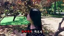 痴情歌手一首民谣《野花香》悠扬的曲调，歌声清甜透彻