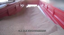 整卡车麦子瞬间排空，那么问题来了，麦子去了哪里？