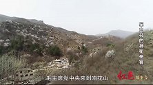 河北卫视建党百年原创短视频《红色故事会》花山村的神秘来客