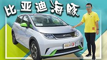 10万级质感爆棚小可爱 试比亚迪海豚 【五号车论】