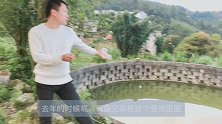 在水池里养了塘角鱼，无奈捞不出，用瓶子做个长江钓！简单便捷！