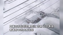 鹤岗特大暴雪过后车主大开盲盒，公交停运只能埋头挖车，外地网友疯狂支招