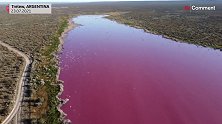 阿根廷：一个泻湖因鱼厂排放化学品变成粉红色