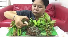 泰国大姐吃小虾米，搭配四棱豆和野菜，换做是我肯定吃不下