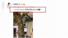 网友偶遇何猷君奚梦瑶推婴儿车逛街 一家三口温馨有爱
