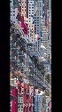中国最小的市，很迷你。麻雀虽小，五脏俱全。