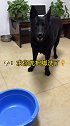 小兔崽子又诬陷我，大家别信她