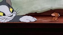 猫咪拿了枕头，这下不怕老鼠丢东西了，真是搞笑啊