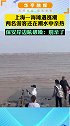 上海一海滩遇涨潮，两名游客还在潮水中亲热，保安岸边吼破嗓：别亲了！