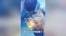41岁演员王冕官宣生子，公公婆婆心疼到哭，曾经历三次试管失败一次胎停