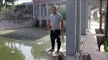 小虎用强磁到闸门口打捞，从水里吸出条钻石项链，小虎直呼发财了