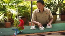 小孩生龙活虎的样子，孪生姐妹一对乖巧可爱，真天真！