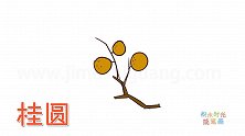 水果简笔画大全，画简单的桂圆简笔画
