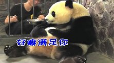 熊猫：一点点盆盆奶就像换我的宝宝，我要加蜂蜜