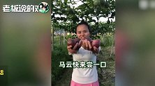马云“带货”：100块一个苹果？各网友喊话邀请：马云快来尝一口