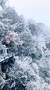 全网就属我这里最凉爽，美丽冻人的雪景张家界