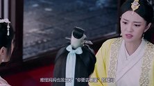 安以轩深夜晒儿子萌照，母爱泛滥溢出屏幕，小家伙真活跃