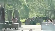 古代断头台又多恐怖老外放一个西瓜试试就知道，真长见识