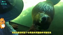 小男孩向河狸招手，河狸很礼貌的回应，世上竟有如此可爱的生灵