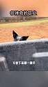 快速且通俗易懂的让人知道你工作的重要性