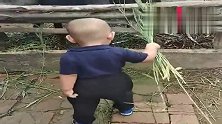 爸妈不在家，熊孩子也能自力更生，眼前这一幕服了