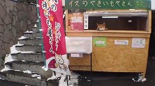 世界上最奇葩的小吃店，老板雇了一只柴犬在卖烤红薯，省事省钱！