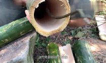 男子荒野生存,用原始技术,把甘蔗熬制成糖浆,这技术我给满分!