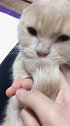他，来了，他来了，他推着摩托走来了