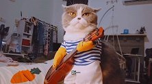 阴阳怪气情侣大赏阴阳怪气 又骗我养猫 情侣日常