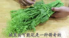 这种佛手瓜叶很多人都没吃过，吃起来是鲜美脆嫩，营养健康还下饭