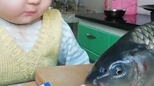 宝宝：没招，我不吃也要给它吃饱