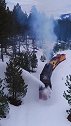 火车扫雪着速度厉害了