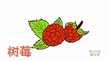 水果简笔画大全，画两个树莓简笔画