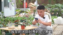 养花用的杀菌药会杀死益生菌吗？老花医相声养花每日一答。