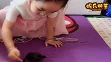 5岁女儿养的小乌龟，真是太听话了，眼前一幕，小情人好萌啊！