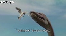 南极发现新疆“尼斯湖水怪”，化石体长11米，不过早已灭绝