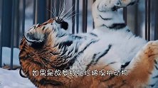 如果出于正当防卫，不小心把大熊猫打死了，会坐牢吗？扎心了