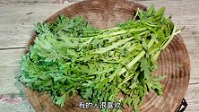 茼蒿最营养的吃法，1周吃3次，降压又通便，一看就会