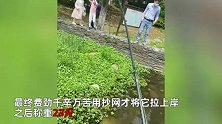男子玩路亚钓到23斤“巨物”，抄网瞬间狂喜路人沸腾：鱼竿都差点断裂