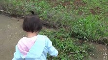 萌娃发现了野草莓，想摘来吃，被爸爸制止了！这个能吃吗？