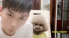 崽胖子太气人，无时无刻不被它打脸，真的是气得饭都吃不下了