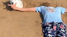 哈士奇被埋在沙子里不太高兴呀，看看主人的操作，狗狗反应亮了！