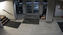 加拿大警察暴力执法视频曝光：华人女学生遭拽头发 “踩头杀”