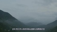 祁连山发现神秘的荒漠猫，颜值呆萌却不输花豹，是中国特有物种！