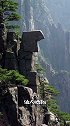 黄山五绝之怪石，上过黄山的你是否错过了这些精彩的怪石景观？