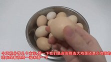 鸡蛋是挑大的好还是小的好？养殖户说漏了嘴，以后别挑错了