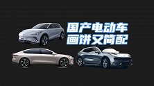 各个都这样，中国电动车怎么发展？
