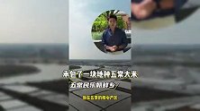 35岁男演员无戏可拍，兼职陪爬泰山后又转行种地，为维持生计太卑微